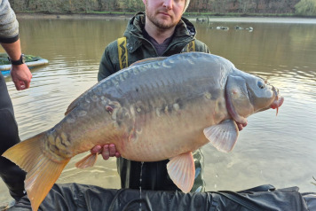 New Stock & Netting - 9