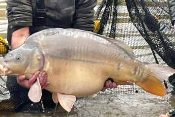 New Stock & Netting - 7