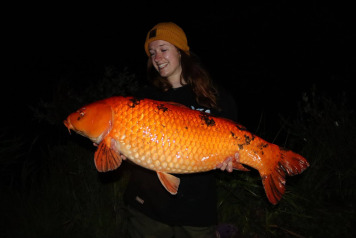 September Kicks Off in Style - 2