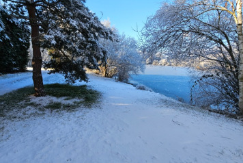 Laroussi 2026 winter news - 1