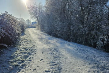 Laroussi 2026 winter news - 2