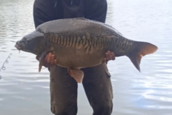 2024 January News - 3