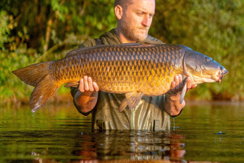 Dovey & Spooner fish Laroussi - 1