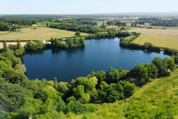 Dovey & Spooner fish Laroussi - 2