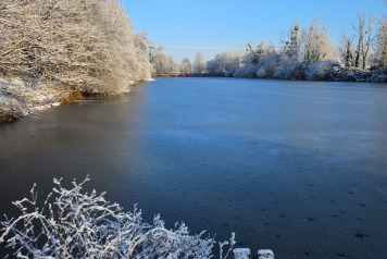 Winter has arrived at the lake! - 3