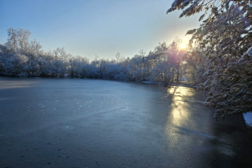 Winter has arrived at the lake! - 1