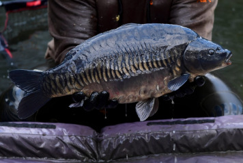 The future is looking incredibly bright at Laroussi! - 8