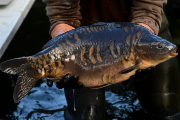 The future is looking incredibly bright at Laroussi! - 6