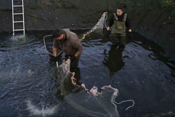 The future is looking incredibly bright at Laroussi! - 1