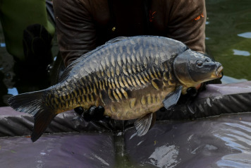 The future is looking incredibly bright at Laroussi! - 2