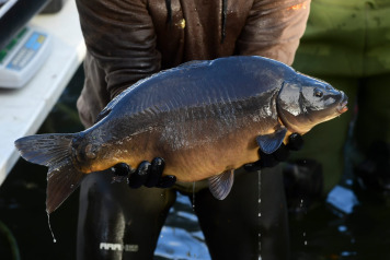 The future is looking incredibly bright at Laroussi! - 4