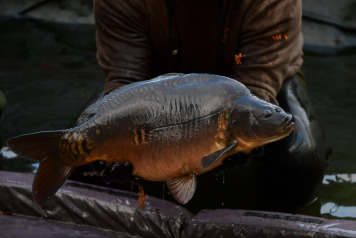 The future is looking incredibly bright at Laroussi! - 5