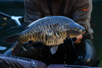 The future is looking incredibly bright at Laroussi! - 7