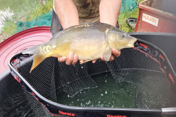 Laroussi 2026 winter news continued - 1