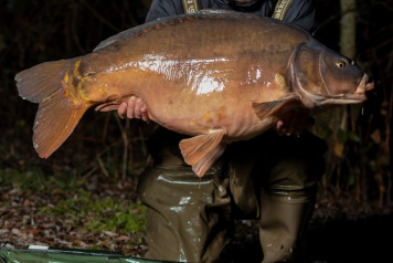 First Carp out at Laroussi 2026 - 1