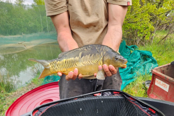 Laroussi 2026 winter news continued - 5