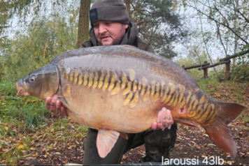 Laroussi 2026 winter news continued - 4