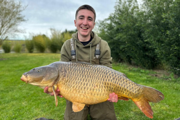 The fish are feeding - 2