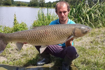 Beautiful fullys - 3