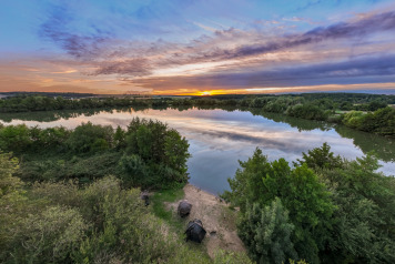 Lepinet Summer Session - 2