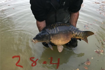 New Lake Record! - 2