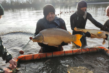 Netting & stock check - 11