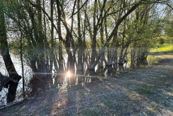 Water Level Update - 9