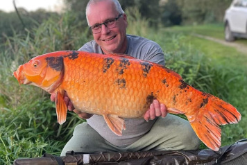 Great Last week of September at Jonchery 7 - 1