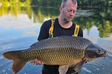 A week of 2 halves - 1