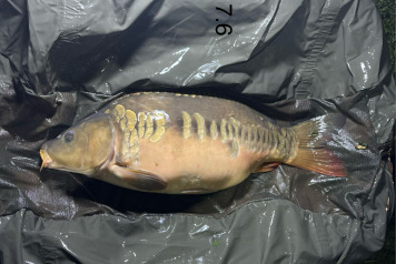 New Arrivals at Deux Iles - 2