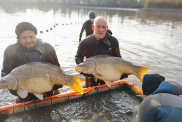 Netting & stock check - 9