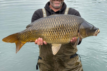 Woods bank updates - 5