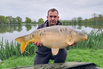 Ragon - Bumper week - 2