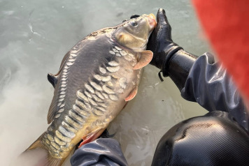 Final stocking For This Winter - 2