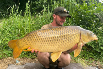 Round up - w/c 5th July - 1