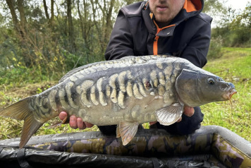 Magnificent Fish - 6