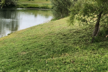 Water Level Update - 1