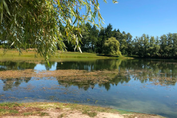 Water Level Update - 1