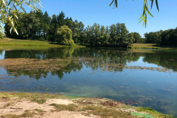 Water Level Update - 2