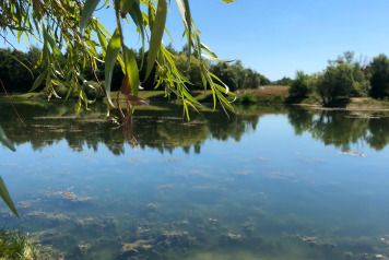 Water Level Update - 3
