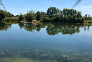 Water Level Update - 4