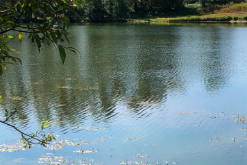 Water Level Update - 5