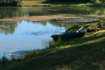 Water Level Update - 7