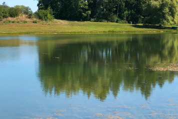 Water Level Update - 8