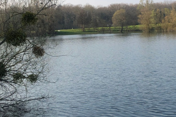 Updated water levels - 13