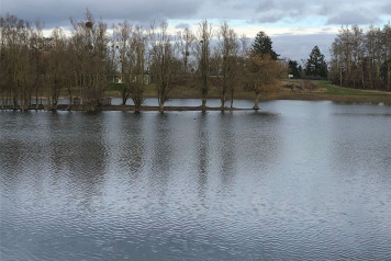 Current Water Levels - 2