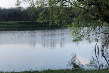 Updated water levels - 12