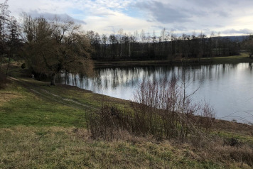 Current Water Levels - 3