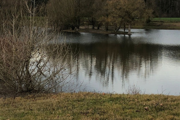 Current Water Levels - 4