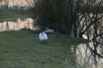 Updated water levels - 10